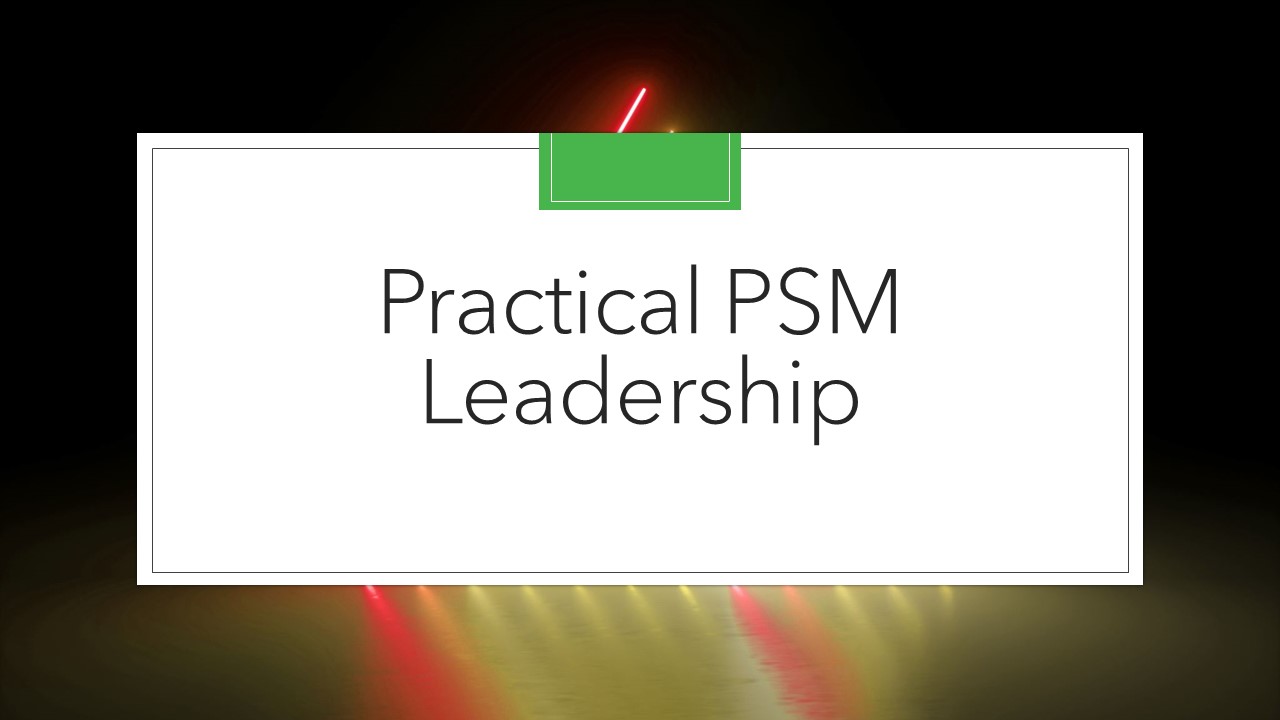 PSM Leadership